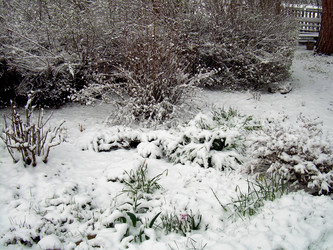 Similar image 21880334