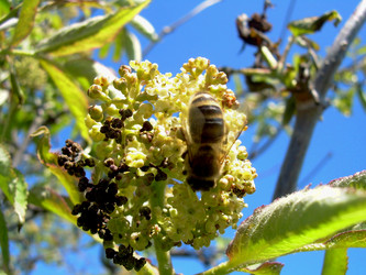 Similar image 21880335