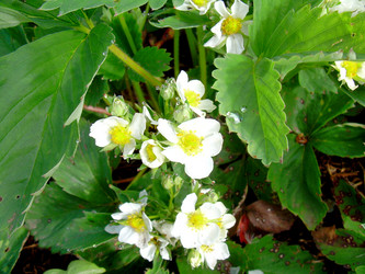 Similar image 21880336