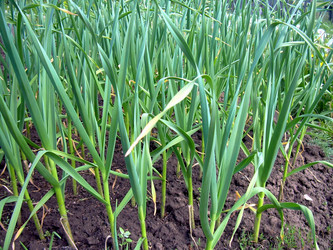 Similar image 21880338