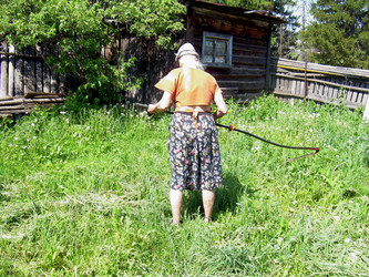 Similar image 21880539