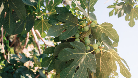 Similar image 21888901