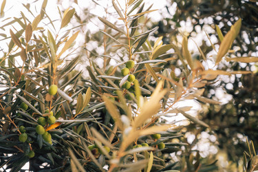 Similar image 21888907