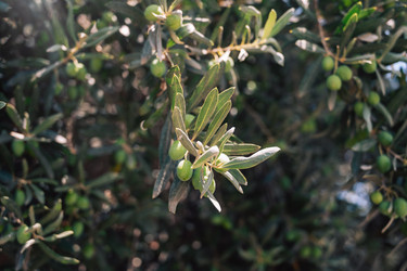 Similar image 21888908