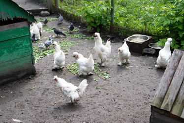 Similar image 21883811