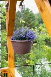 Similar image 21883812