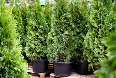 Similar image 21883816