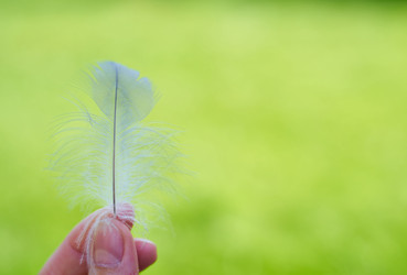 Similar image 21882963