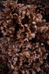 Similar image 21883062