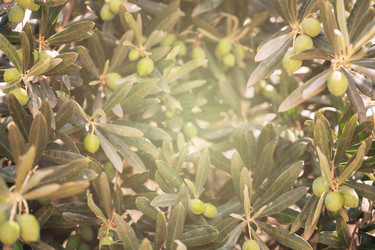 Similar image 21888675