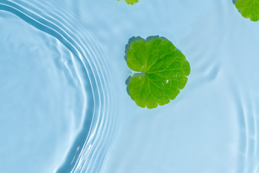 Similar image 21882066