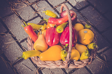 Similar image 21882547