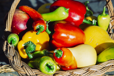 Similar image 21882075