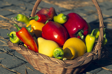 Similar image 21882085