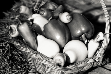 Similar image 21882548