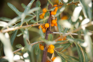 Similar image 21882645