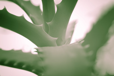 Similar image 21882650