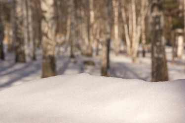 Similar image 21882653