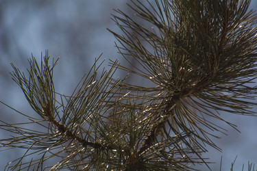 Similar image 21882654