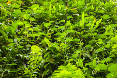 Similar image 21882664