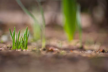 Similar image 21882668