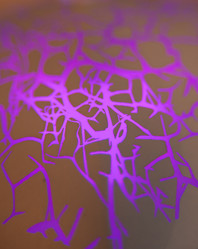 Similar image 21882683