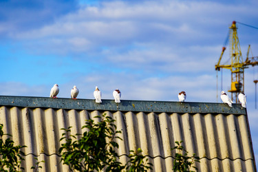 Similar image 21888999