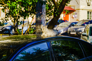 Similar image 21889001