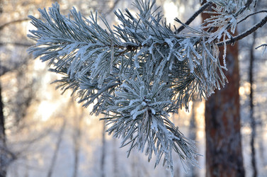 Similar image 21880552