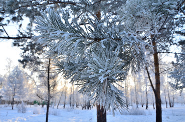 Similar image 21880553