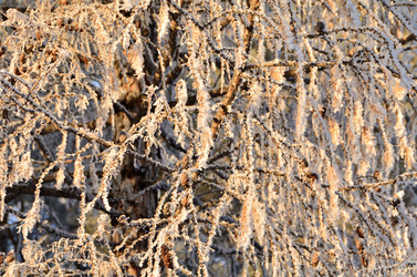 Similar image 21880554