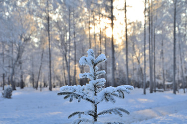 Similar image 21880561