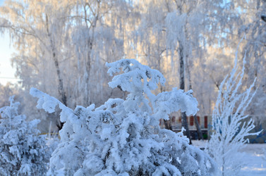 Similar image 21880562