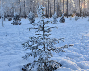 Similar image 21880563