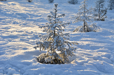 Similar image 21880565