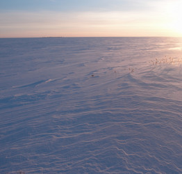 Similar image 21880576