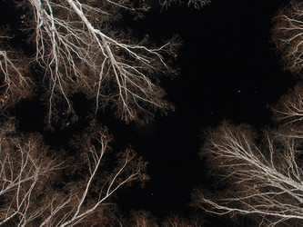 Similar image 21880582