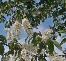 Similar image 21880583