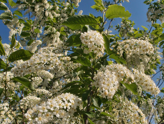 Similar image 21880585