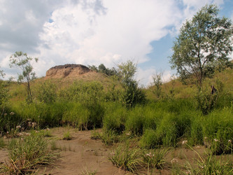 Similar image 21880589