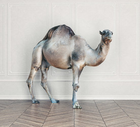 Similar image 21892029