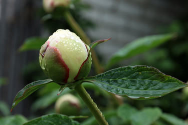 Similar image 21882101