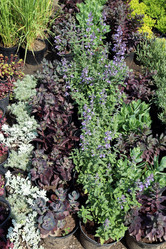 Similar image 21882103