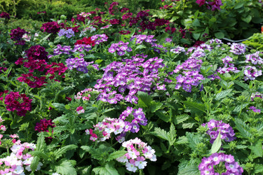 Similar image 21882104