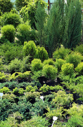 Similar image 21882141