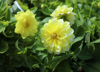 Similar image 21882142