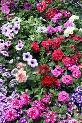 Similar image 21882143