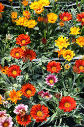 Similar image 21882144