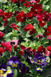 Similar image 21882145