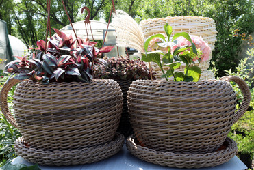 Similar image 21882146